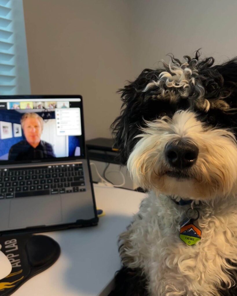 Dog next to computer during Stuart Knight presentation
